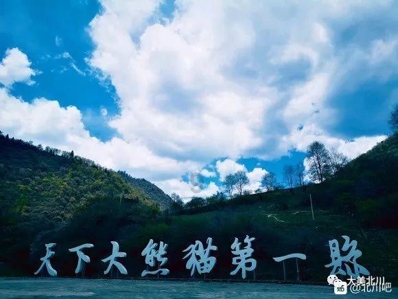 探寻知识宝库,解疑答惑,尽在断联一个月了,女生也没联系我,没希望了吧?问答网