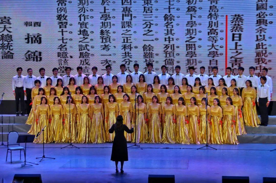 探索猫咪吼人但是不敢打主人是什么情况?,汇集难得一见的知识